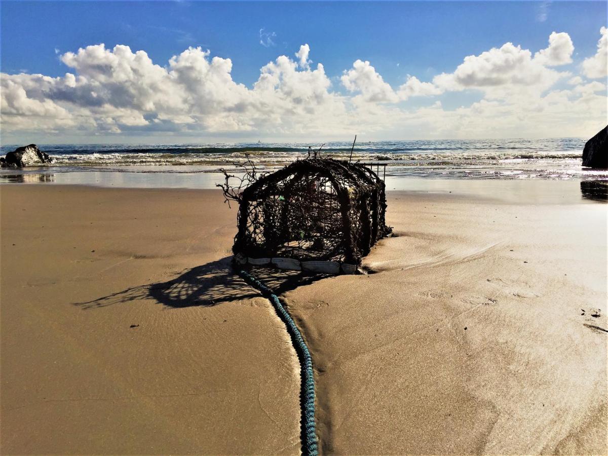 St Awaries Studio, Carne Rosslare Harbour Eksteriør billede