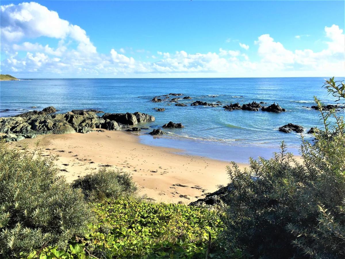 St Awaries Studio, Carne Rosslare Harbour Eksteriør billede